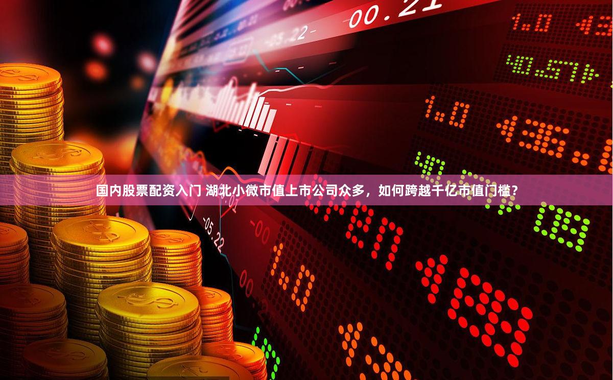国内股票配资入门 湖北小微市值上市公司众多，如何跨越千亿市值门槛？
