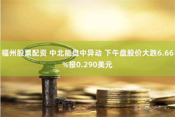 福州股票配资 中北能盘中异动 下午盘股价大跌6.66%报0.290美元