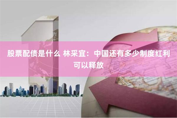 股票配债是什么 林采宜：中国还有多少制度红利可以释放