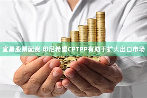 宜昌股票配资 印尼希望CPTPP有助于扩大出口市场